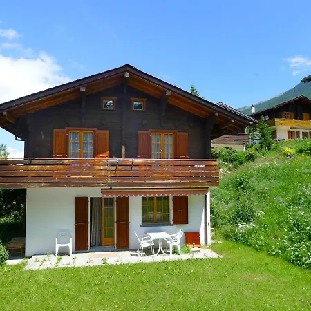 Dağ evi Allegra By Interhome Grächen